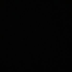 Meet your Posher, Wylee